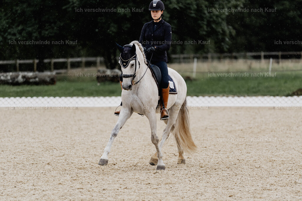 Svea13FHC2025-8407 | working equitationturnier fotograf videograf stoibphotography marixx film working equitation deutschland reitsport turnierfotografie eventfotografie equestrian events