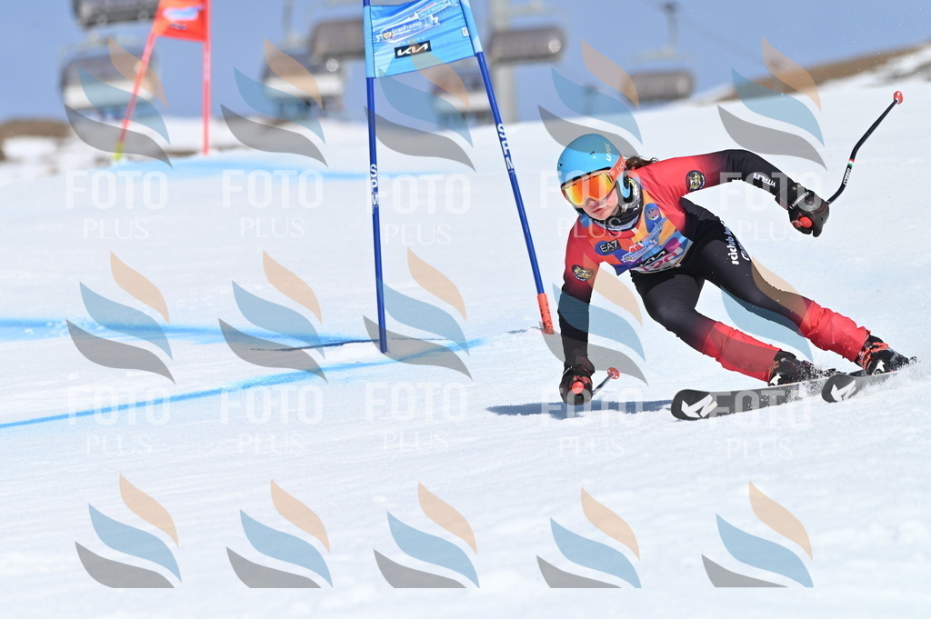 BGV_9812 | holidayphoto