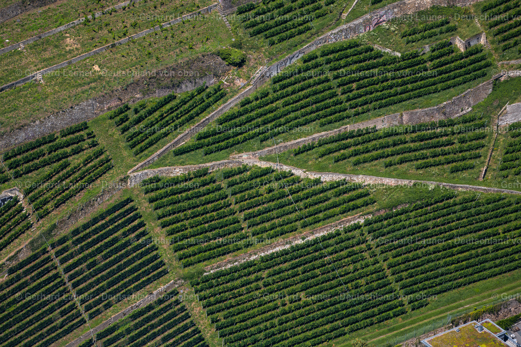 4033130 | OBERAU 30.06.2020 Felder einer Weinbergs- und Rebstocks- Landschaft der Winzer- Gebiete  in Oberau im Bundesland Baden-Württemberg, Deutschland // Fields of wine cultivation landscape  in Oberau in the state Baden-Wuerttemberg, Germany Foto: Gerhard Launer