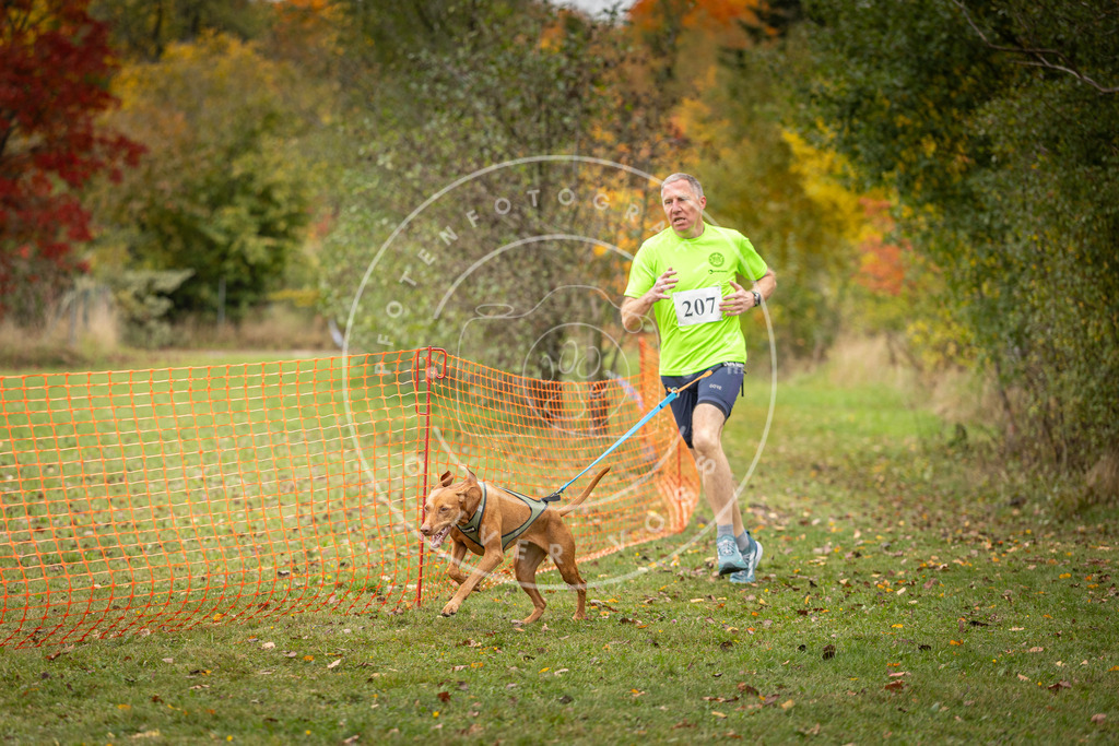 Pfotenfotografie_DV3A4038 | Hundefotografie, Tierfotograf, Pfotenfotografie, Fotoshooting Hund, Hunde Portrait, Hundesport, Hundeportraits, Heideshooting, Hunde, Sportfotograf, Hundefotograf, Turnierhundsport, THS,  - Realisiert mit Pictrs.com