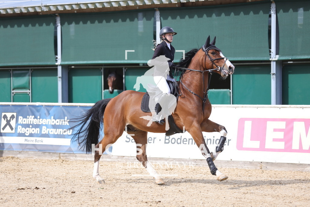 0P6A9613 | Willkommen bei Brunnmayr - Design & Fotografie – Ihrem Spezialisten für Reitturniere und Pferdeveranstaltungen in Oberösterreich, Salzburg und Bayern! Seit über 17 Jahren sind wir leidenschaftlich dabei.
