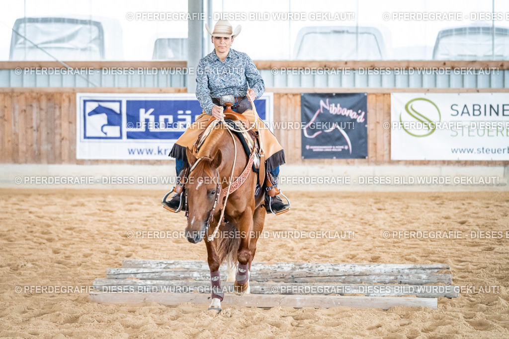 DSC03184 | Pferdegrafie