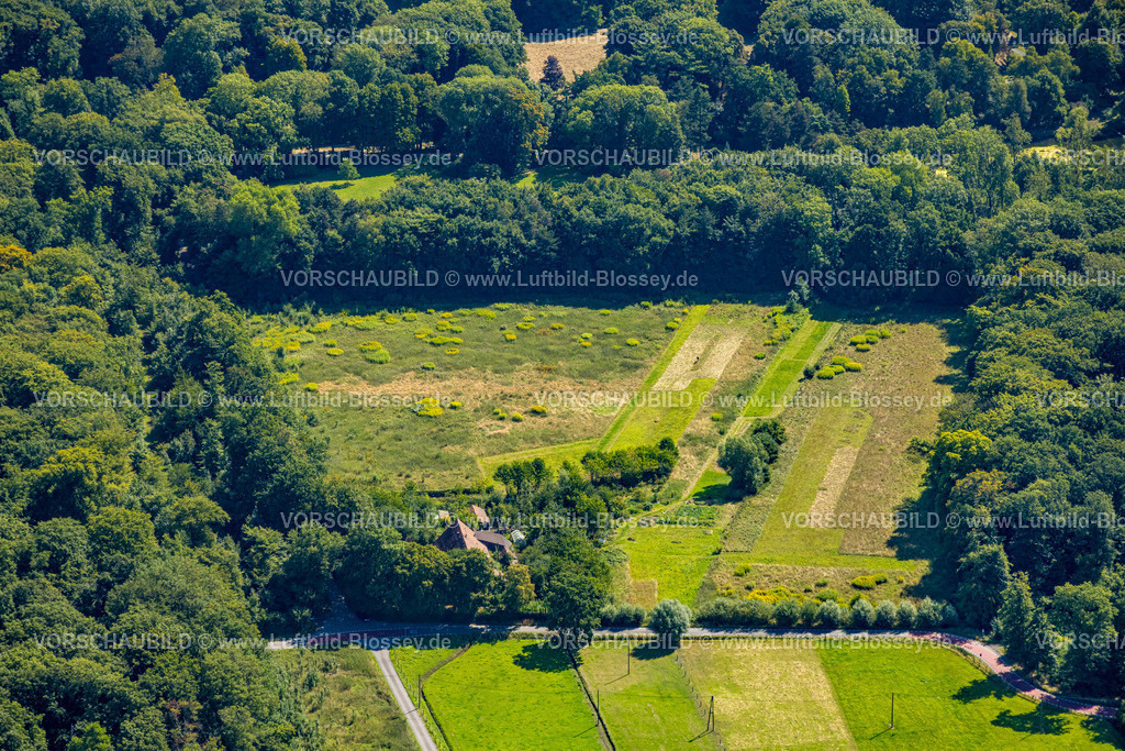 Gladbeck250800545 | Luftbild, Wiesenfläche und Wald Harsewinkelstraße Ecke Ellinghorster Straße, Wohnhaus, Gladbeck, Ruhrgebiet, Nordrhein-Westfalen, Deutschland