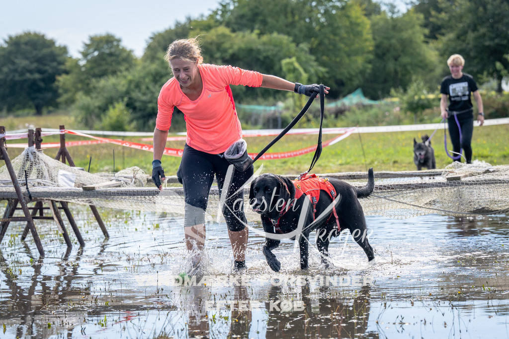 1237_ZZ91044 | kk-dogfotos