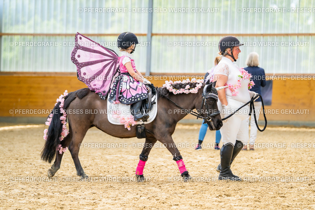 DSC00092 | Pferdegrafie