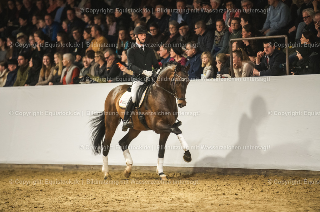 20240302_Hengstvorstellung_Marbach_TOMsPiC_1247-2 | equistock