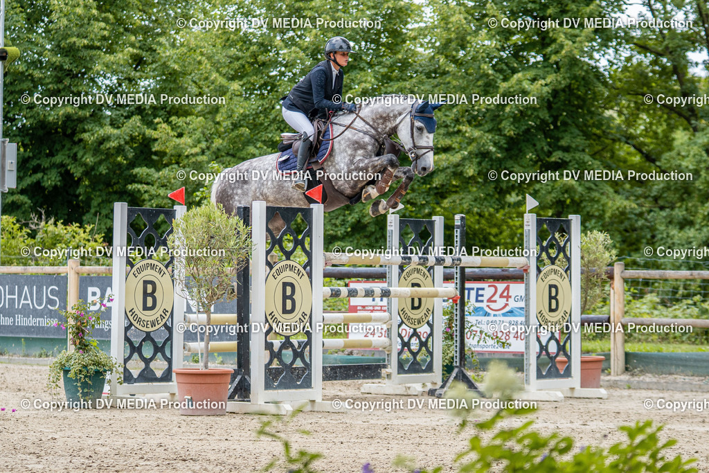 Hessische Tag 3-1275 | dv-media-shop - Realisiert mit Pictrs.com