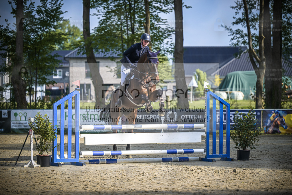 DOS_5075 | Entdecke hochwertige Reitturnierfotos von Foto Oger. Professionell, emotional und authentisch – jetzt Lieblingsmomente im Shop bestellen. - Realisiert mit Pictrs.com