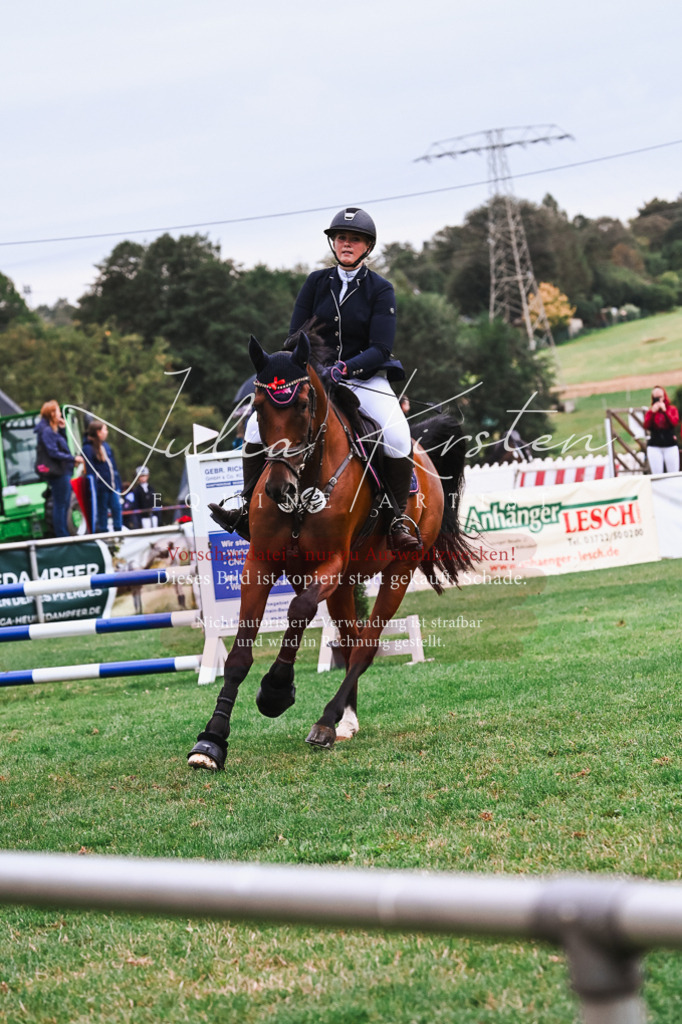 DSC_6472 | Pferde- und Turnierfotografie in Westsachsen. Pferdeportraits, Auftragszeichnungen und intuitive Kunst.