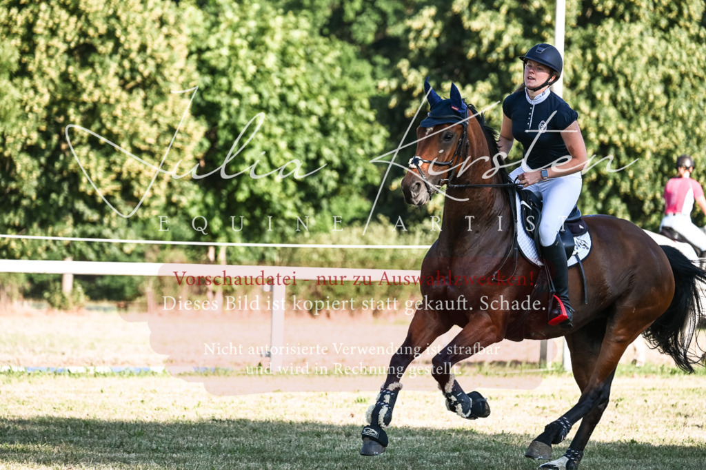 DSC_2905 | Pferde- und Turnierfotografie in Westsachsen. Pferdeportraits, Auftragszeichnungen und intuitive Kunst.