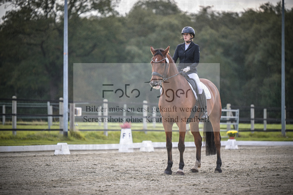 DOS_1728 | Entdecke hochwertige Reitturnierfotos von Foto Oger. Professionell, emotional und authentisch – jetzt Lieblingsmomente im Shop bestellen.Deutschlandweite Turnierfotografie. - Realisiert mit Pictrs.com