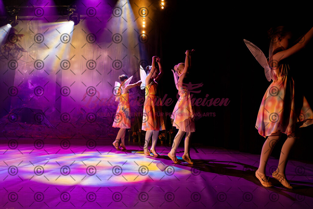Ballettaufführung-180 | Bildershop Lem'n Entertainment - Realisiert mit Pictrs.com