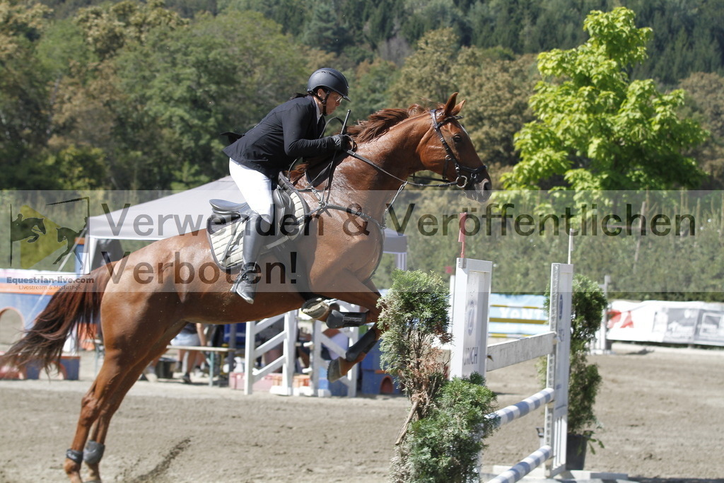 _MG_6383 | equestrian-live-com