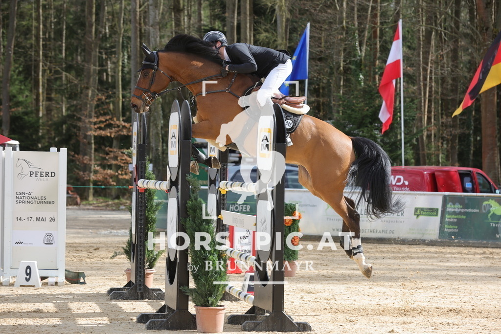 0P6A0045 | Willkommen bei Brunnmayr - Design & Fotografie – Ihrem Spezialisten für Reitturniere und Pferdeveranstaltungen in Oberösterreich, Salzburg und Bayern! Seit über 17 Jahren sind wir leidenschaftlich dabei.