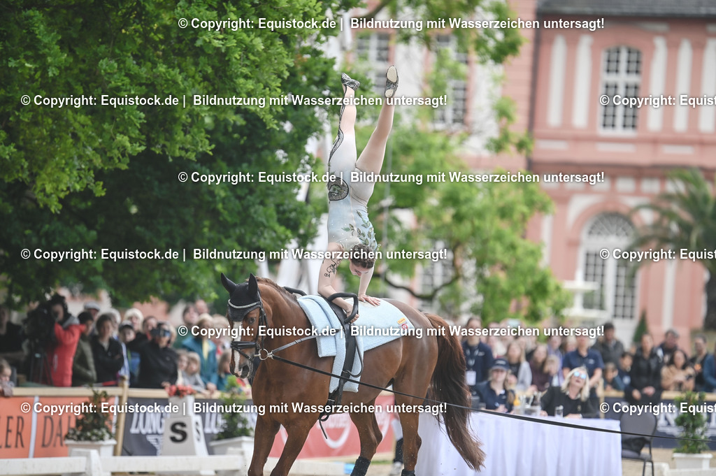 20240519_Voltige_0294 | Foto: Thomas Hartig