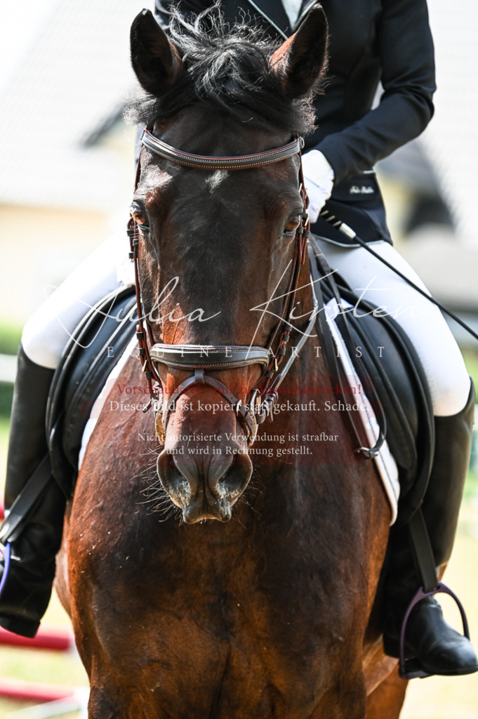 DSC_8898 | Pferde- und Turnierfotografie in Westsachsen. Pferdeportraits, Auftragszeichnungen und intuitive Kunst.