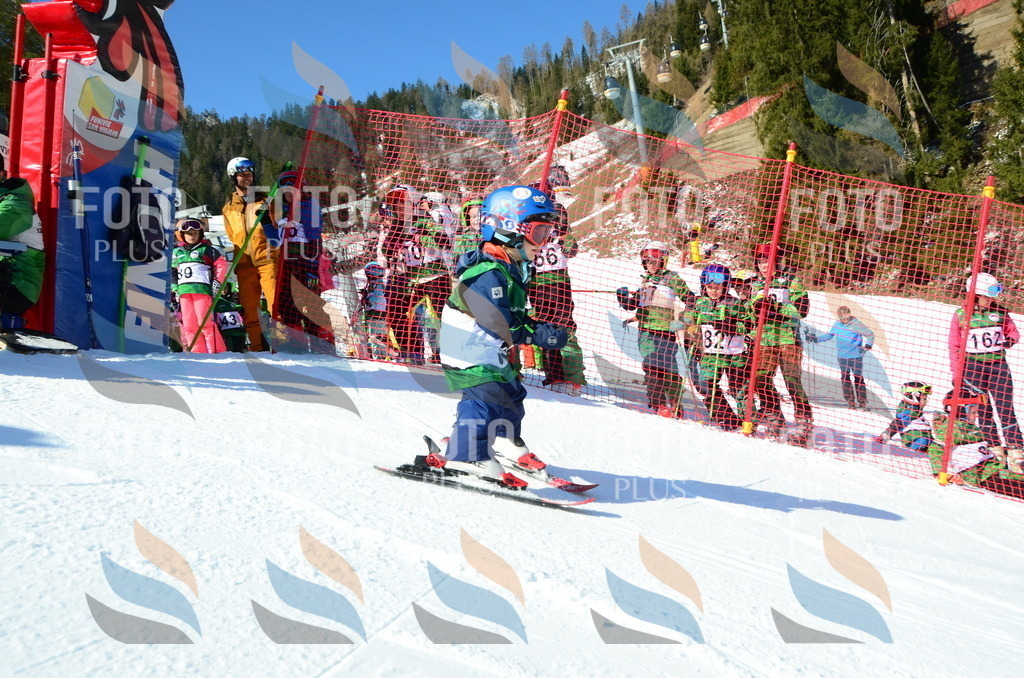 C4932 | holidayphoto