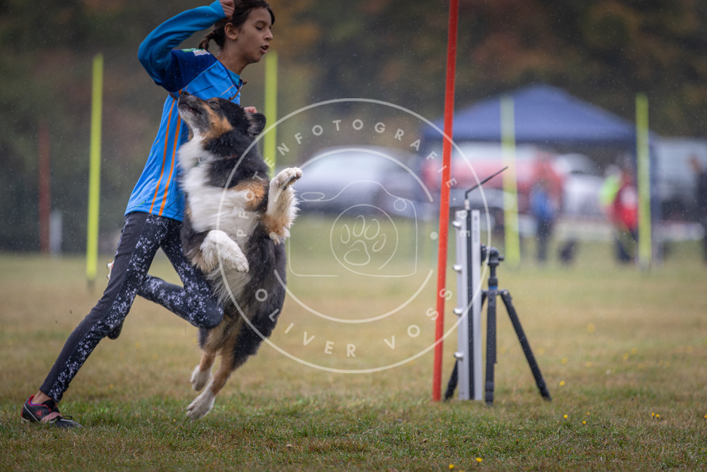 Pfotenfotografie_DV3A0020 | Hundefotografie, Tierfotograf, Pfotenfotografie, Fotoshooting Hund, Hunde Portrait, Hundesport, Hundeportraits, Heideshooting, Hunde, Sportfotograf, Hundefotograf, Turnierhundsport, THS,  - Realisiert mit Pictrs.com