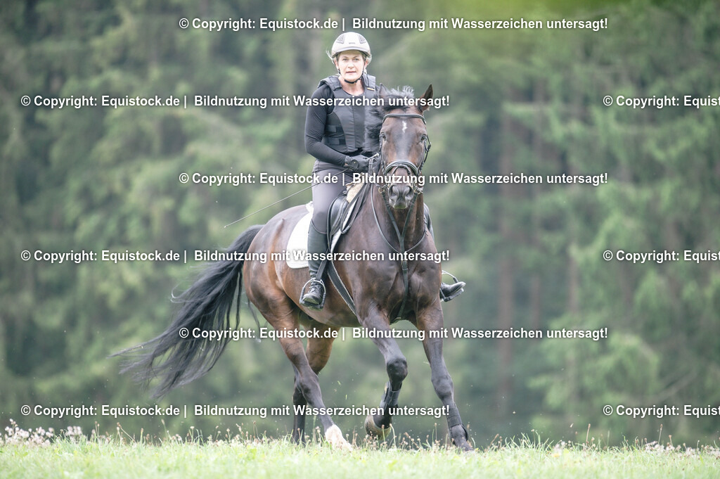 20250726_Vielseitigkeitslehrgang-Marbach_0351 | Foto: Thomas Hartig