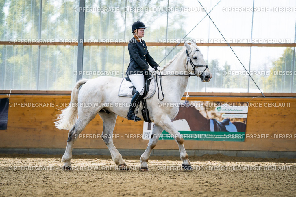 DSC05718 | Pferdegrafie