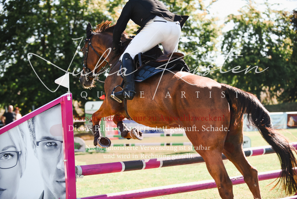 DSC_2482 | Pferde- und Turnierfotografie in Westsachsen. Pferdeportraits, Auftragszeichnungen und intuitive Kunst.