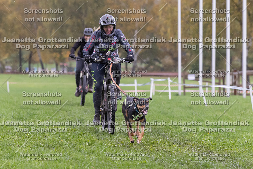 Dog Paparazzi - SD CaniX Championship 2025-942 | Dog Paparazzi Jeanette Grottendiek Fotografie & Videografie - Realisiert mit Pictrs.com