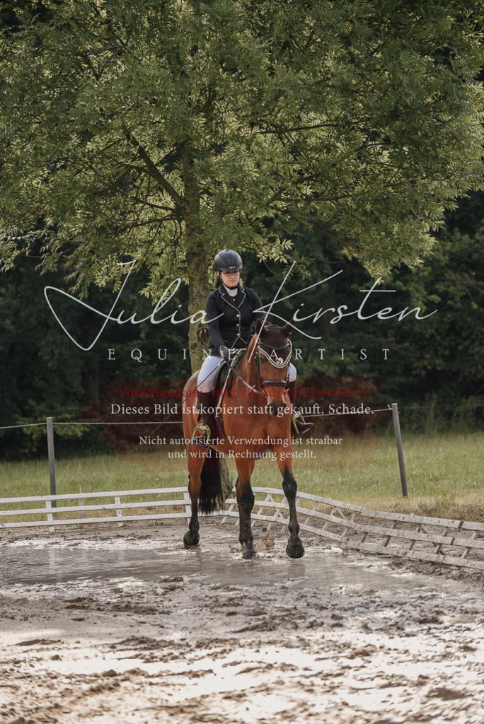 DSC_8438 | Pferde- und Turnierfotografie in Westsachsen. Pferdeportraits, Auftragszeichnungen und intuitive Kunst.