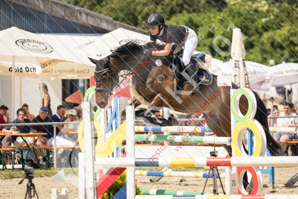 IMG_9702 | Sport-, Event- und Tierfotos in Profiqualität. Einfach auswählen, bestellen und herunterladen. Dein Moment – perfekt festgehalten.