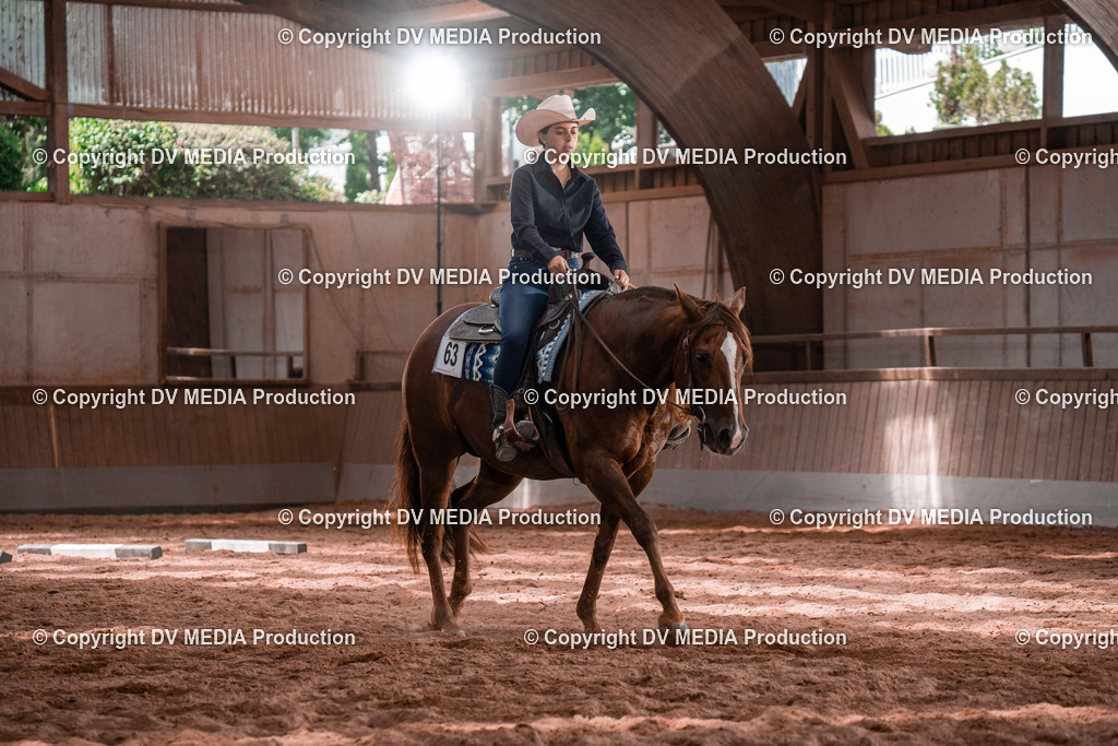 NE100540 | dv-media-shop - Realisiert mit Pictrs.com