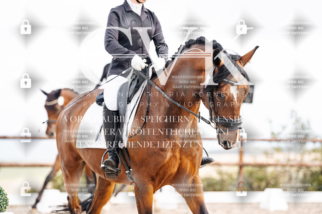 CK900960 | Turnierfotografie Pferdefotografie Trier Rheinland-Pfalz Pferdesport Reitsport Tierfotografie Sportfotografie Pferdevideo Pferdevideografie Equestrianvideography equestrianphotography  - Realisiert mit Pictrs.com