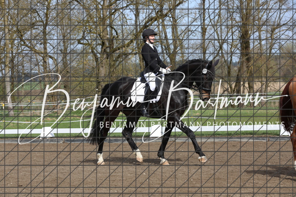 AZ2A4355 | Benjamin Bartmann Photomoments