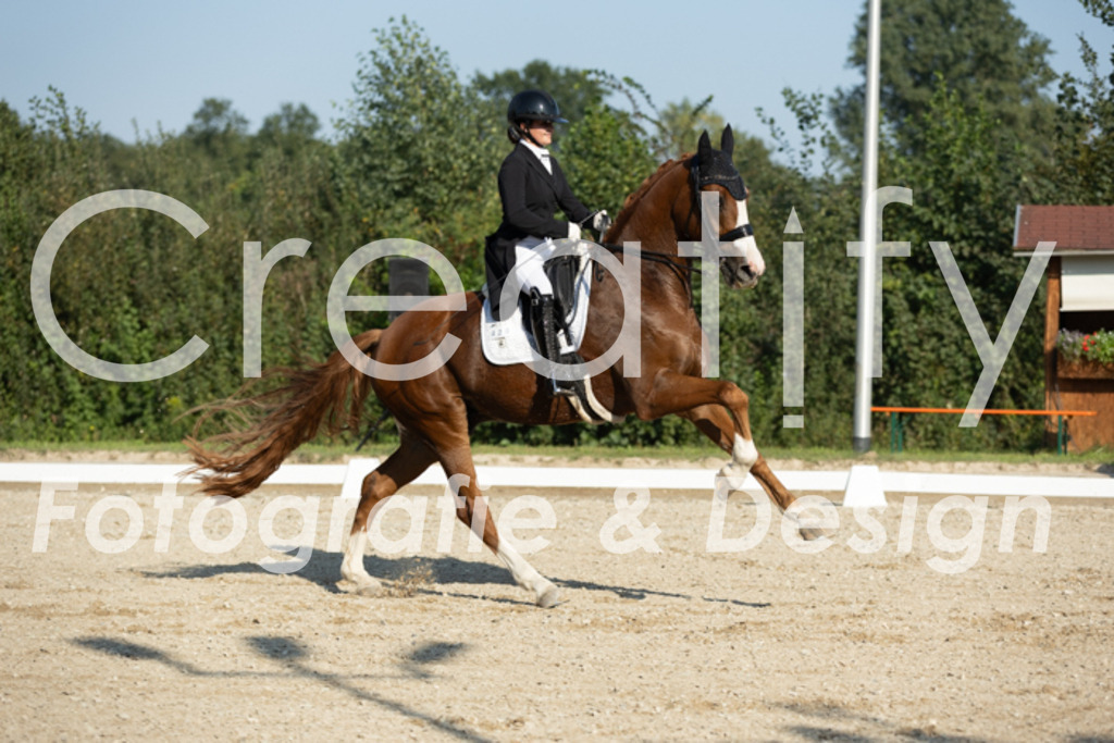 IMG_6371 | Creatify Fotografie