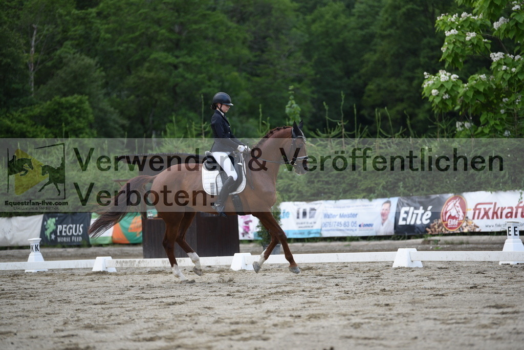 DSC_6579 | equestrian-live-com