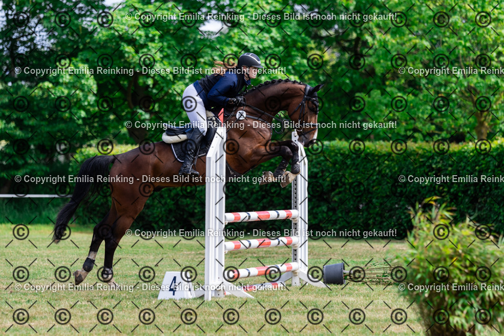 CL5A5651 | Emilia Reinking Fotografie - Realisiert mit Pictrs.com