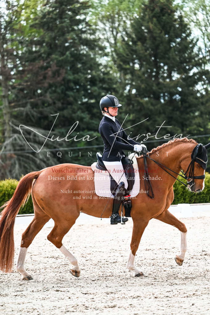 20230513_JK-Röhrsdorf-10-0747 | Pferde- und Turnierfotografie in Westsachsen. Pferdeportraits, Auftragszeichnungen und intuitive Kunst.