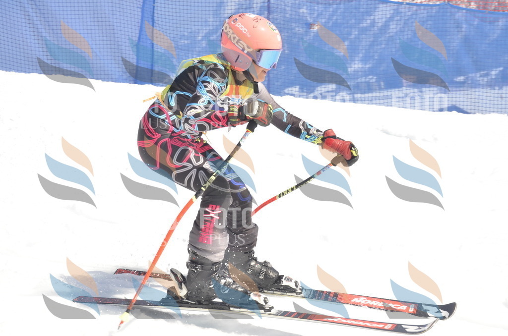 _ELE9590 | holidayphoto