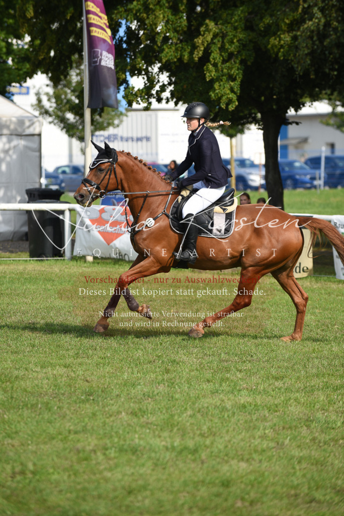 DSC_8825 | Pferde- und Turnierfotografie in Westsachsen. Pferdeportraits, Auftragszeichnungen und intuitive Kunst.