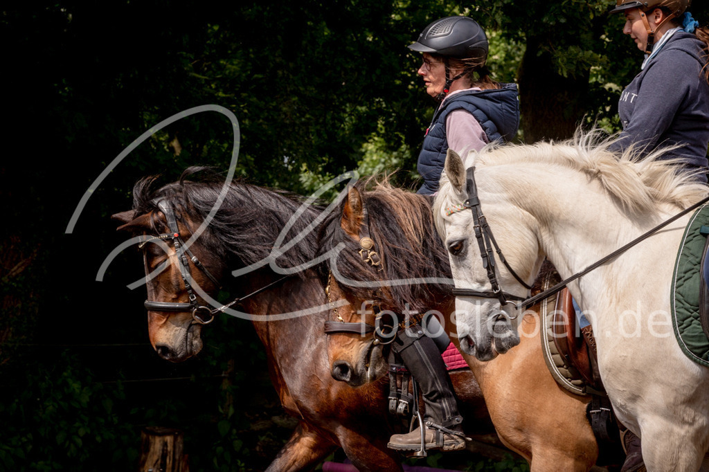846A1038 | fotosleben - Realisiert mit Pictrs.com