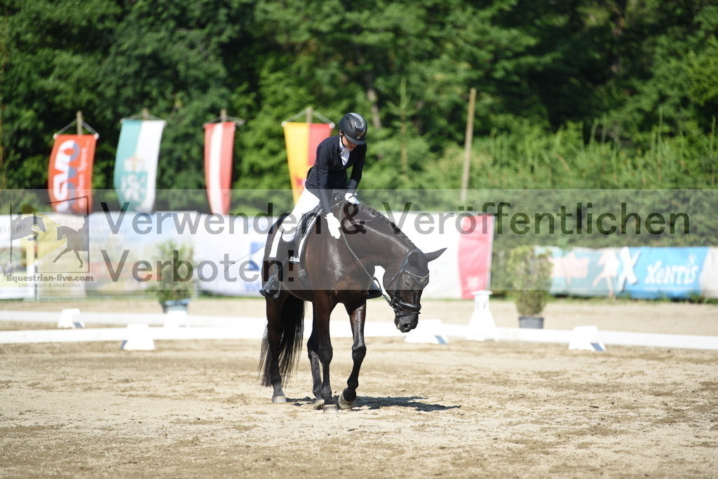 DSC_7419 | equestrian-live-com