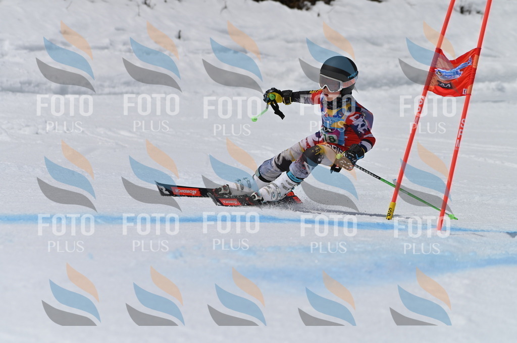 BGV_6299 | holidayphoto