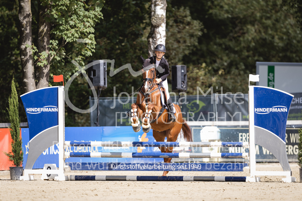 230826_Delbrueck_Stil-E-748 | Deine schönsten Turniermomente als professionelle Fotos! Entdecke hochwertige Pferdesport-Fotografie im Online-Shop. Jetzt Fotos finden & bestellen!