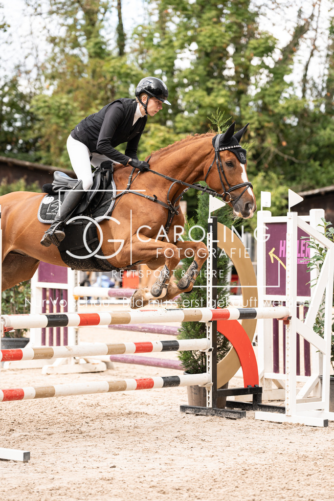 DSC03503 | Carolin Gieschke