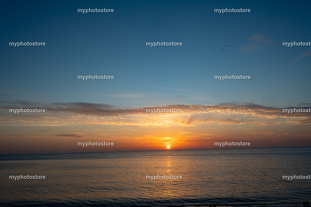 449A7103 | myphotostore - Realisiert mit Pictrs.com