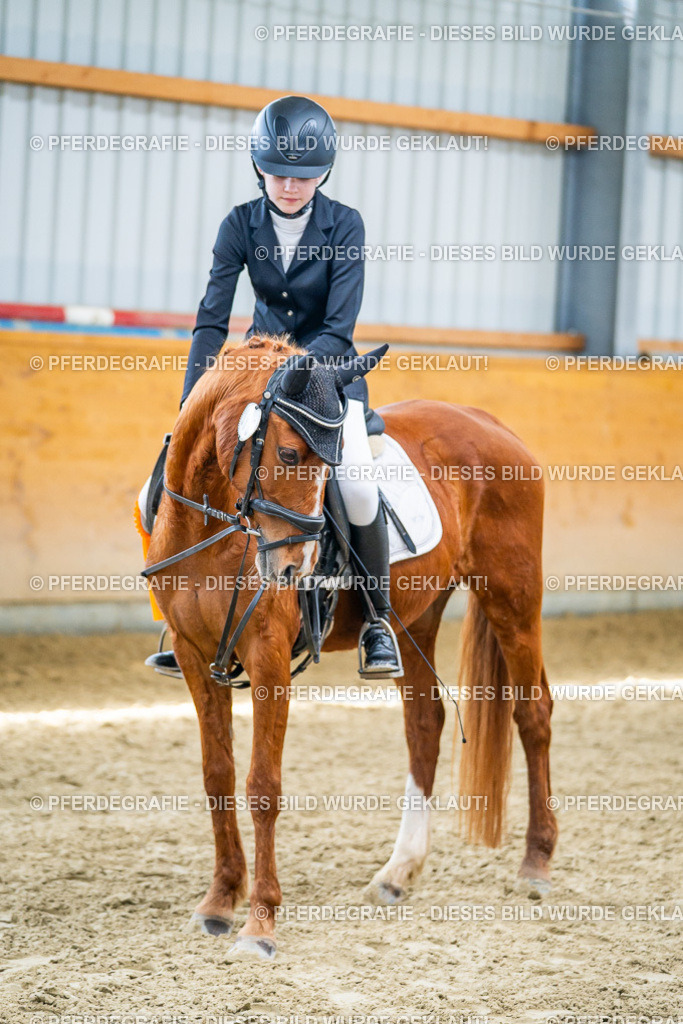 DSC03843 | Pferdegrafie