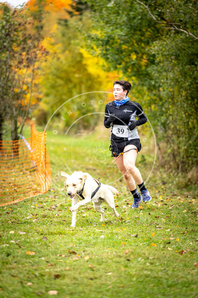 Pfotenfotografie_DV3A2271 | Hundefotografie, Tierfotograf, Pfotenfotografie, Fotoshooting Hund, Hunde Portrait, Hundesport, Hundeportraits, Heideshooting, Hunde, Sportfotograf, Hundefotograf, Turnierhundsport, THS,  - Realisiert mit Pictrs.com