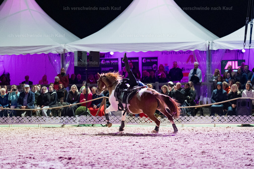 Gala-590 | working equitationturnier fotograf videograf stoibphotography marixx film working equitation deutschland reitsport turnierfotografie eventfotografie equestrian events