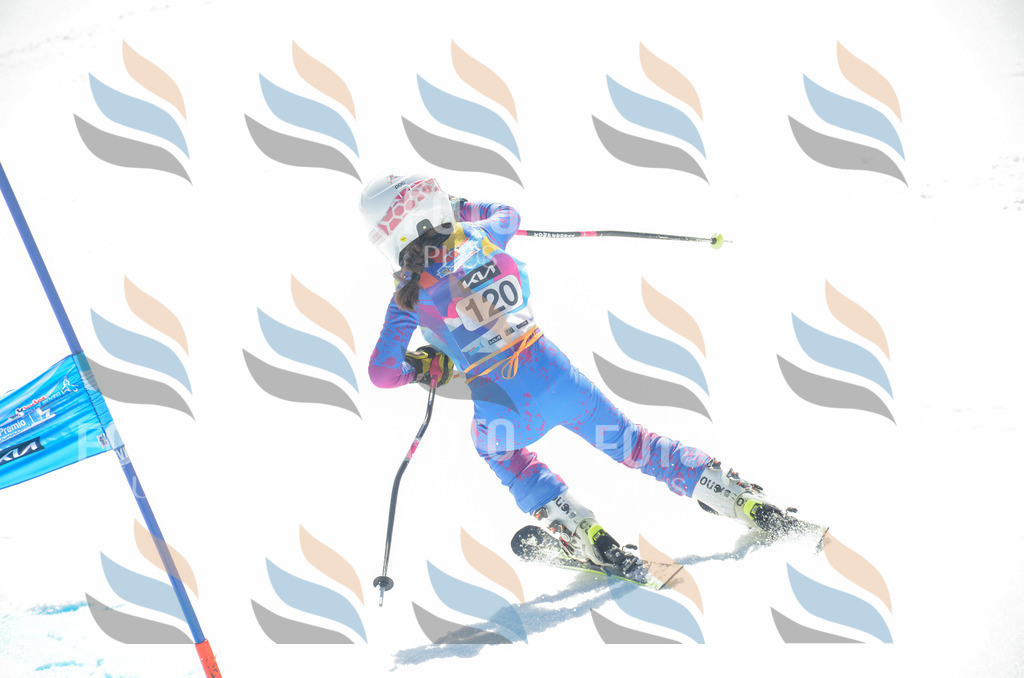 _ELE6008 | holidayphoto