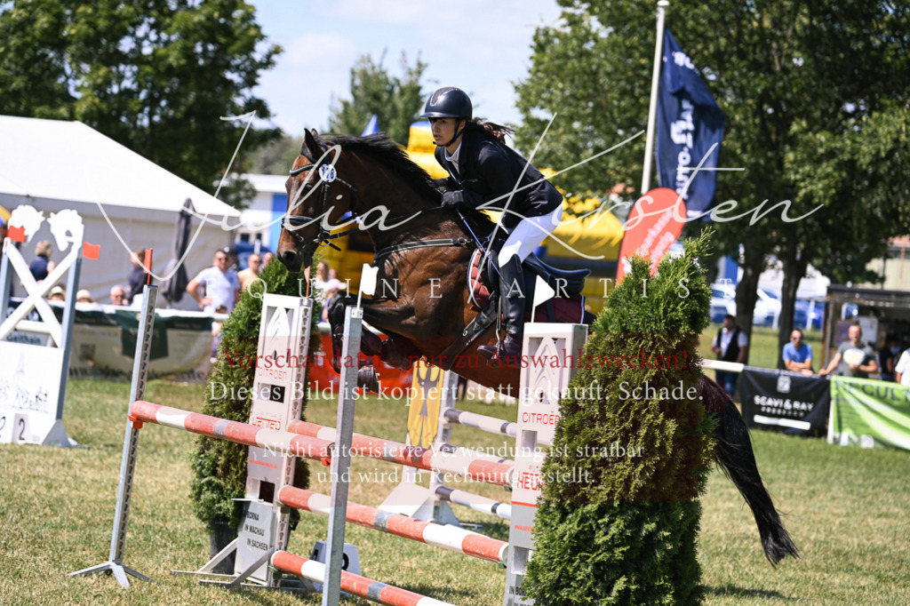 DSC_0094 | Pferde- und Turnierfotografie in Westsachsen. Pferdeportraits, Auftragszeichnungen und intuitive Kunst.