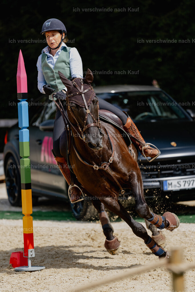 Mirjam25_FHC2025-2800 | working equitationturnier fotograf videograf stoibphotography marixx film working equitation deutschland reitsport turnierfotografie eventfotografie equestrian events