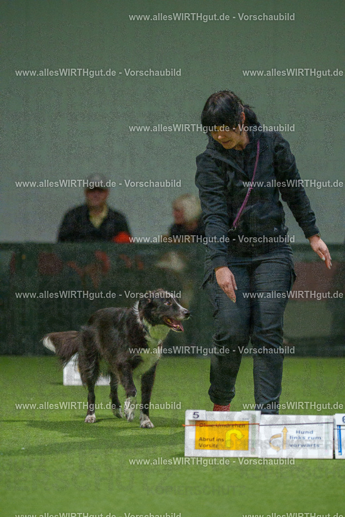 7R507281 | Professionelle Tierfotografie in Mönchengladbach von Daniel Wirth (allesWIRTHgut). Liebevolle & natürliche Bilder von Hunden & Katzen für unvergessliche Erinnerungen.